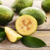 Prednosti i štete od feijoe